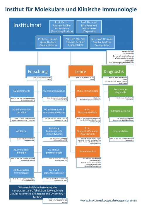 Organigramm des IMKI Organigramm des IMKI